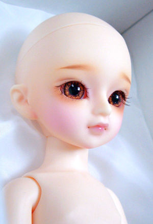 Tanpopo26