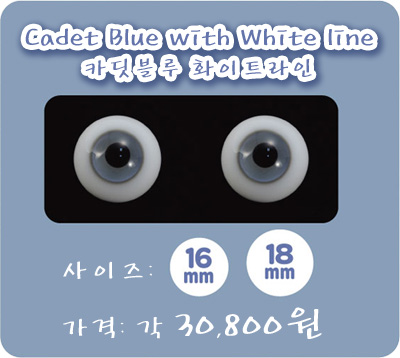 Dm44 Cadetblue W Main