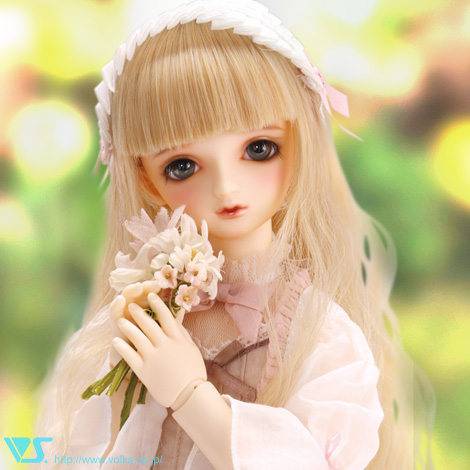 Sd04 Pic01