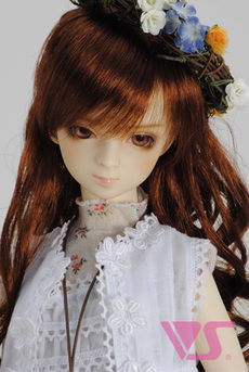 Vmb10309sd