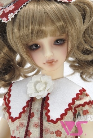 Vmb11218